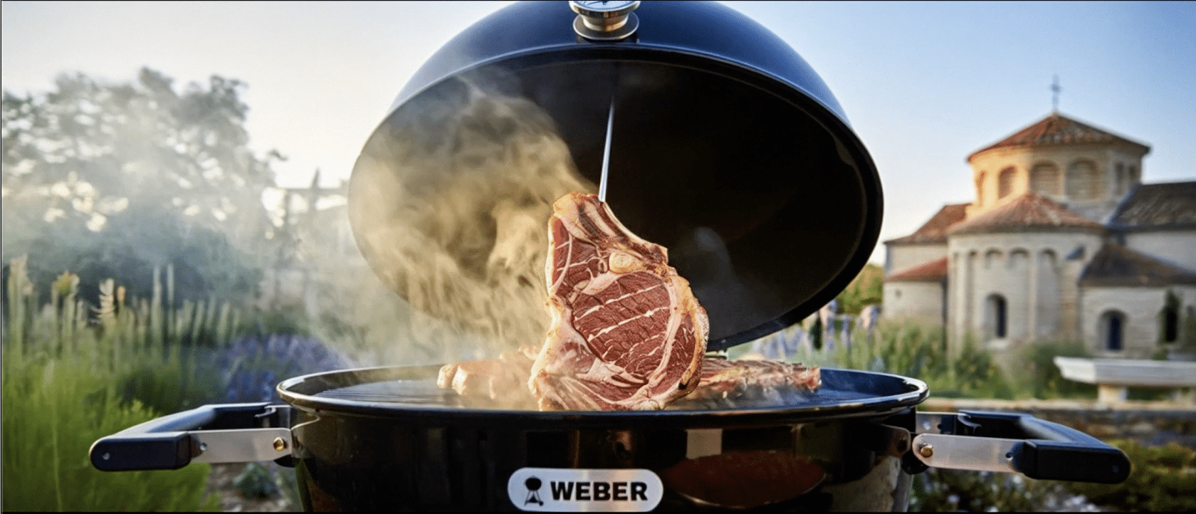 Weber - Jim Digitart - Nextage IA